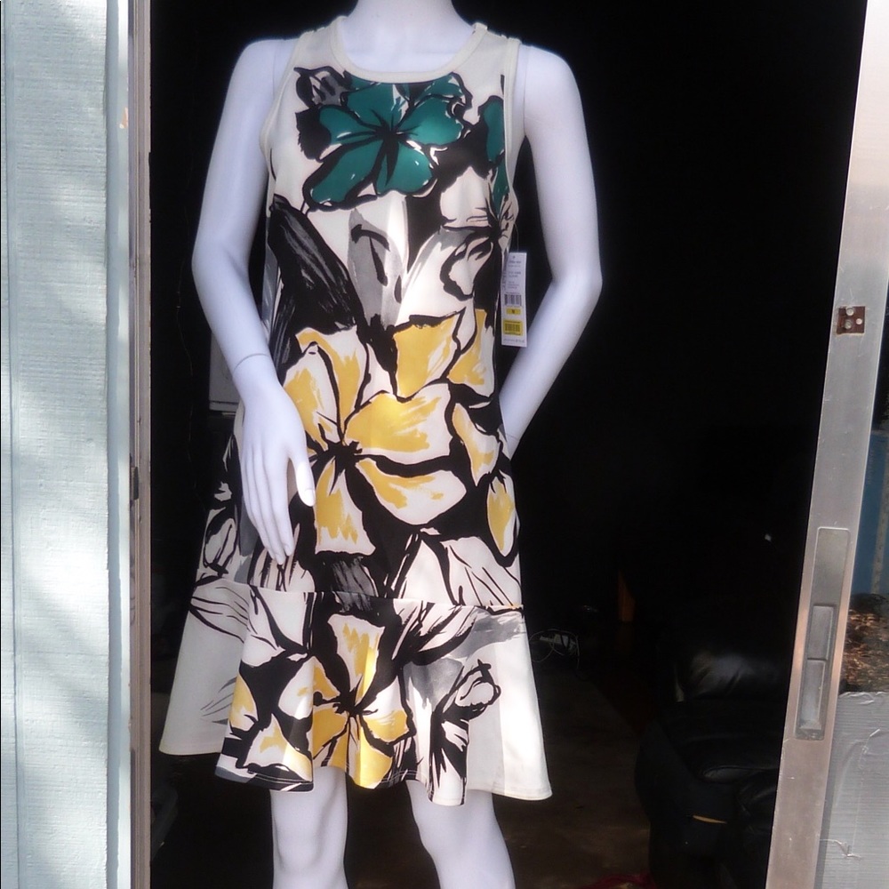 COPY - Karen Kane dress